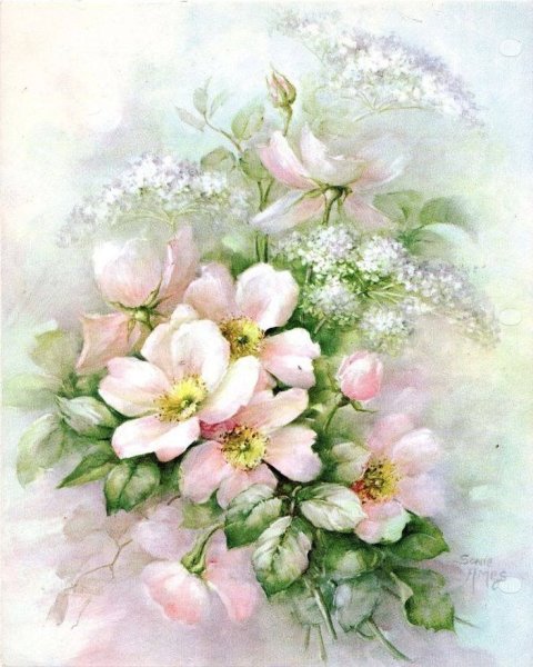 Цветы в пастельных тонах