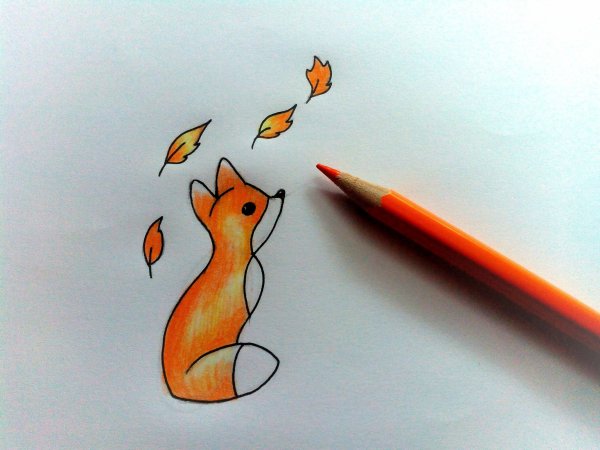 Рисунки карандашом