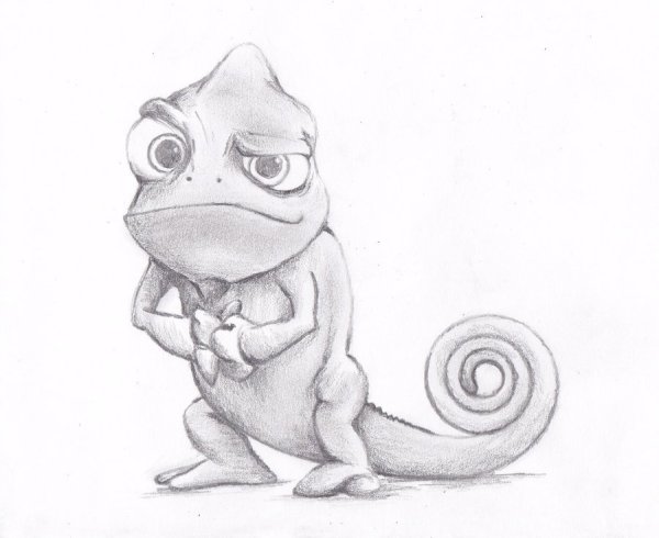 Дельфин рисунок карандашом