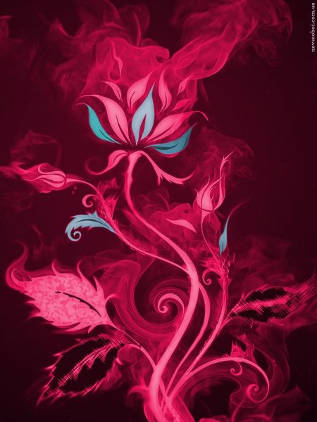 Огненный цветок