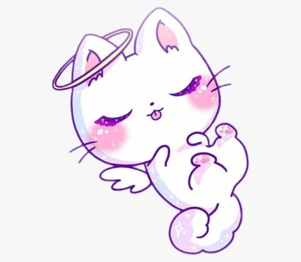 Милый котик рисунок