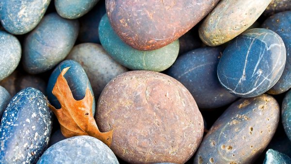 Морские камни