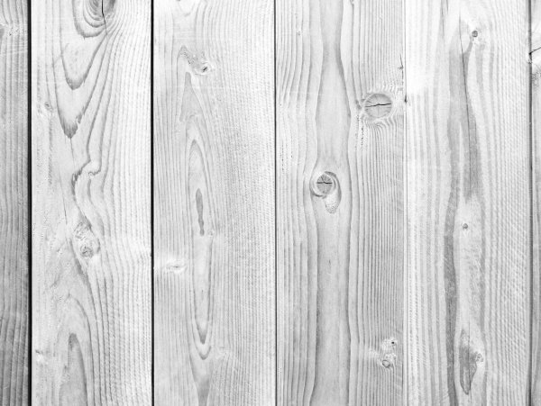 Белое дерево текстура