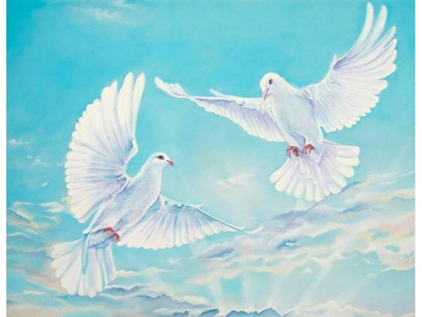 Птицы в небе акварель