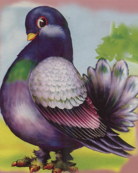 Голубок нарисовать