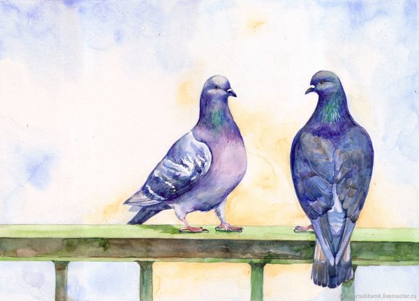 Голубь с веточкой