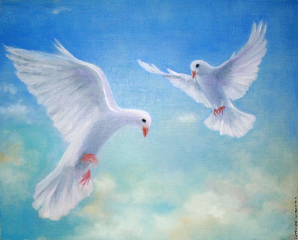 Белый голубь