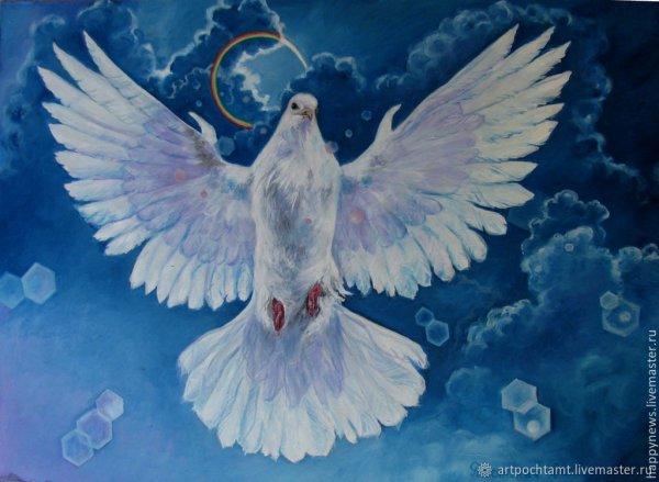 Голубь с разных ракурсов