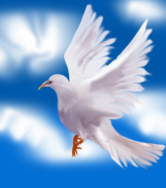 Белый голубь живопись
