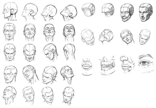 Лицо снизу референс