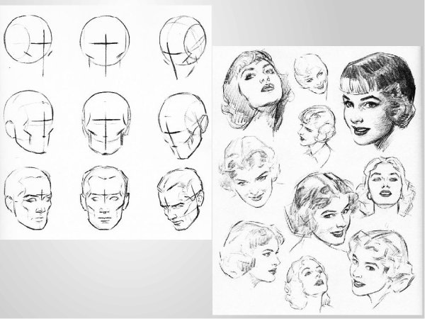 Рисунок головы человека в пространстве