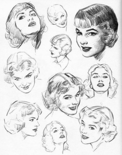 Прическа иллюстрация