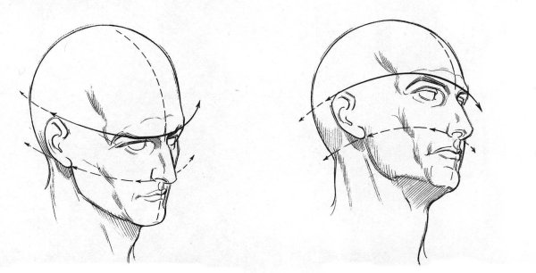 Построение головы ракурсы