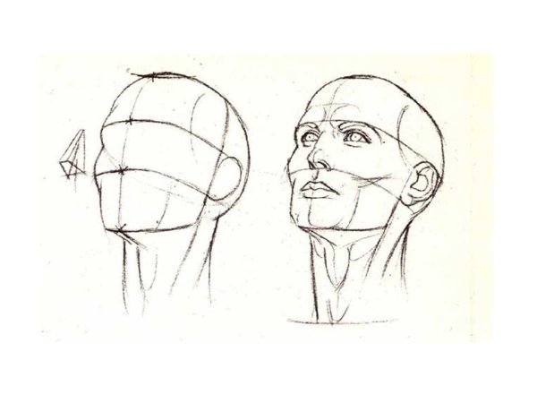 Наброски Леонардо Давинчи