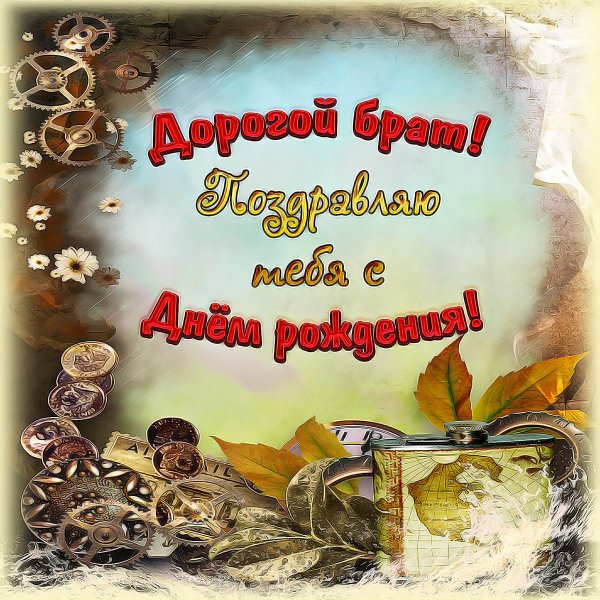 Братулек с днем рождения