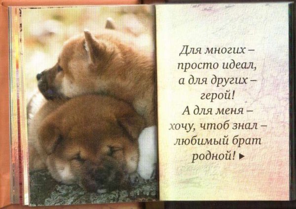 С днём рождения мужчине