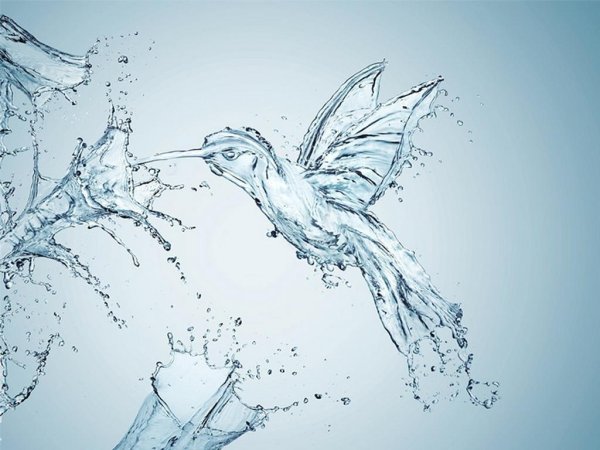 Цветок из воды брызг