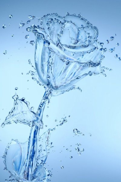 Цветок из воды