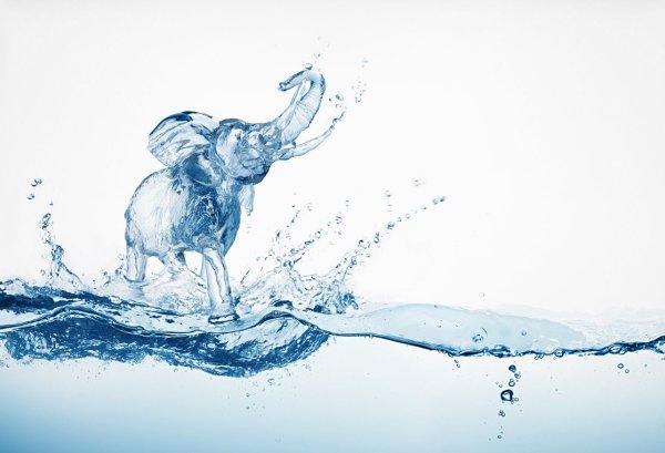 Силуэт из воды