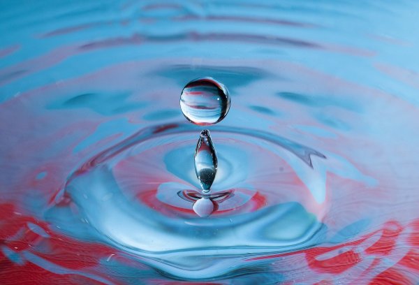 Картины Lindsay Lindsay Rapp