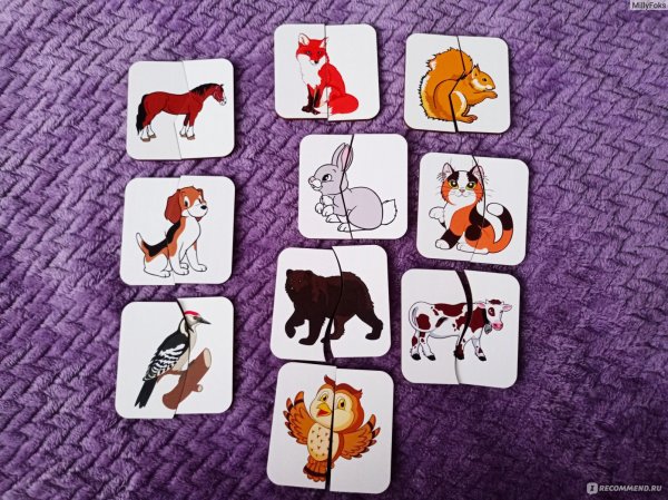 Карточки половинки животные