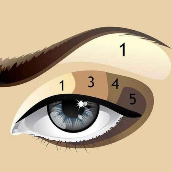 Макияж глаз схема нанесения теней