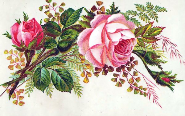 Рисунки с цветами красивые