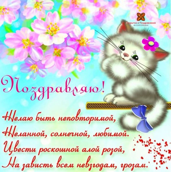 Поздравления с котиками