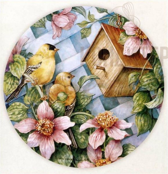 Каролин Шорс Райт птички