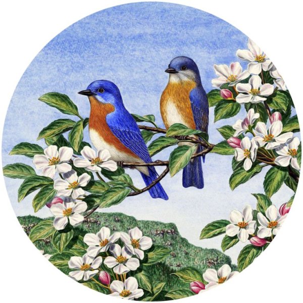 Красивые круглые картинки природа