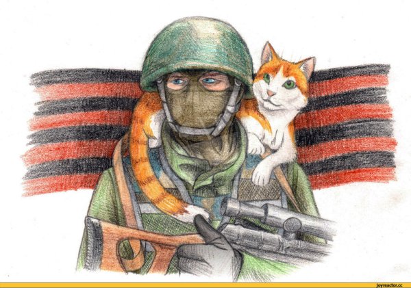 Кот солдат арт