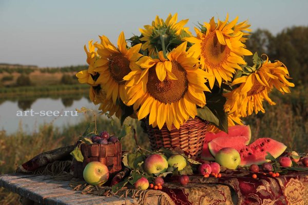 Натюрморт с подсолнухами и фруктами