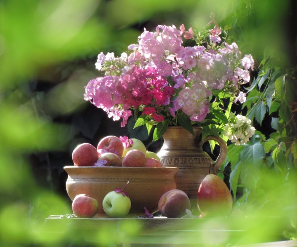 Цветы и яблоко