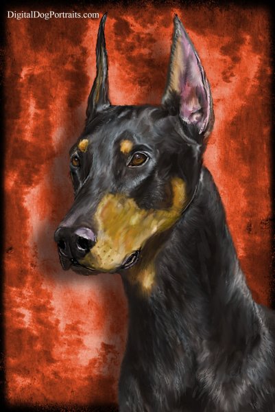 Арт собака Доберман Доберман