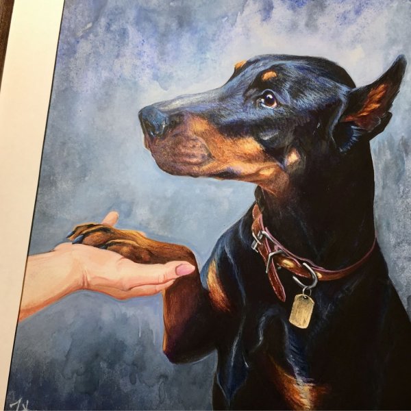 Шюлер, Герхард: Доберман. Портрет породы