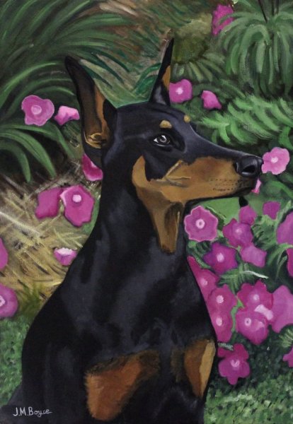 Доберман гуашью