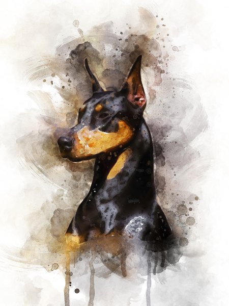 Доберман арт