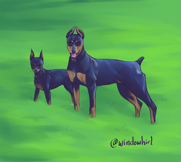 Доберман арты