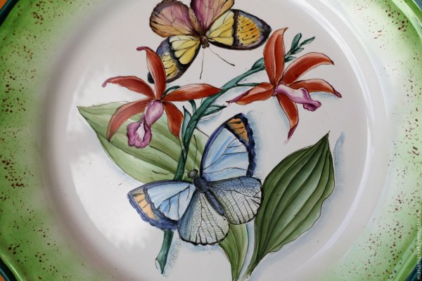Тарелка "бабочка"
