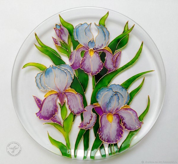 Ирис Vitrail