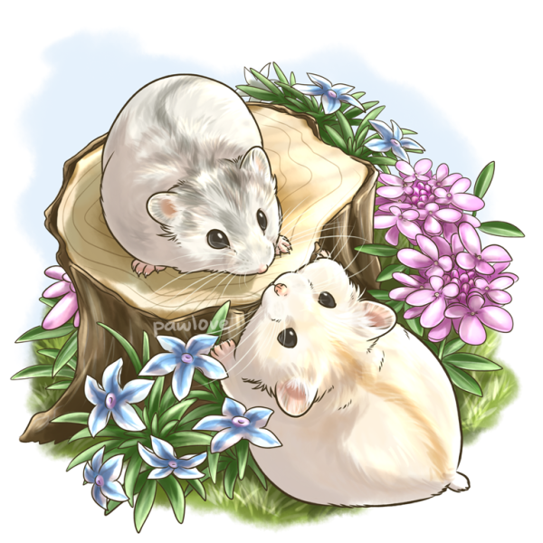 Зверек с цветами