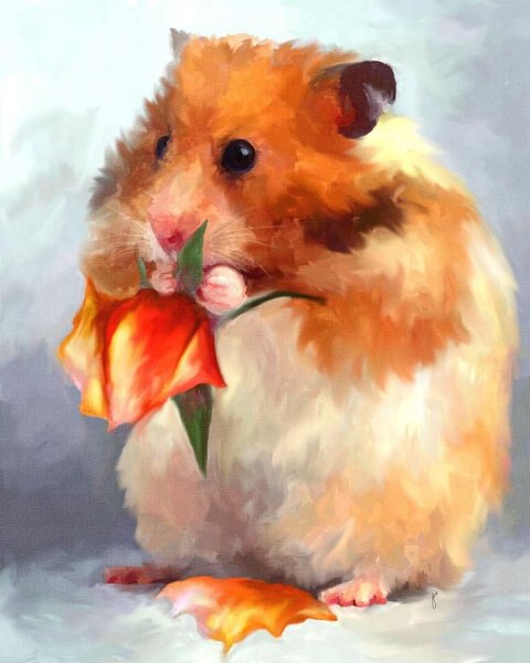 Живопись хомячка