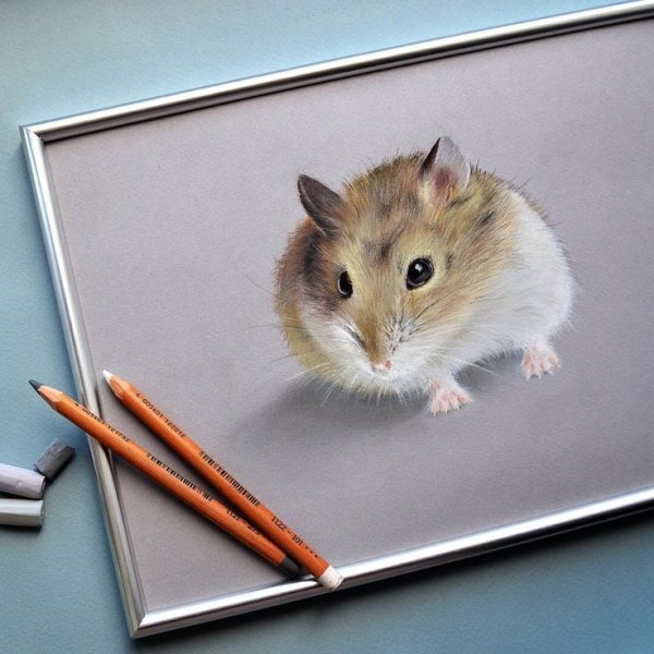 Картина хомяка