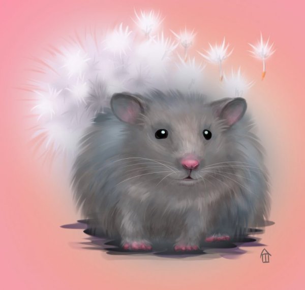 Портрет хомяка