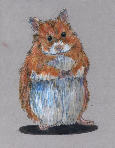 Хомячок пастелью