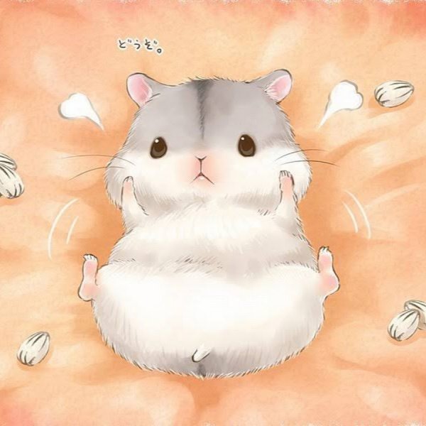 Хомячок аниме