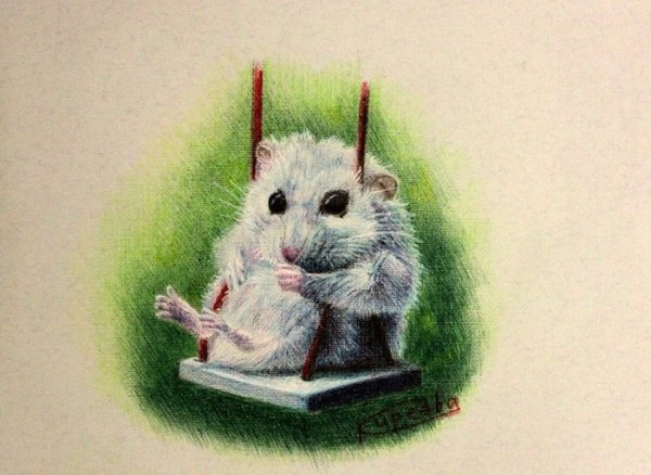 Хомяк цветными карандашами