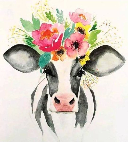Корова акварель