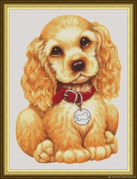 Английский кокер-спаниель