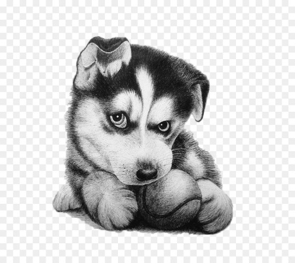 Милые мультяшные животные